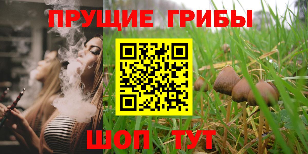 Галлюциногенные грибы Psilocybine cubensis  Галлюциногенные грибы Psilocybine cubensis  Светлоград  Вход с VPN 